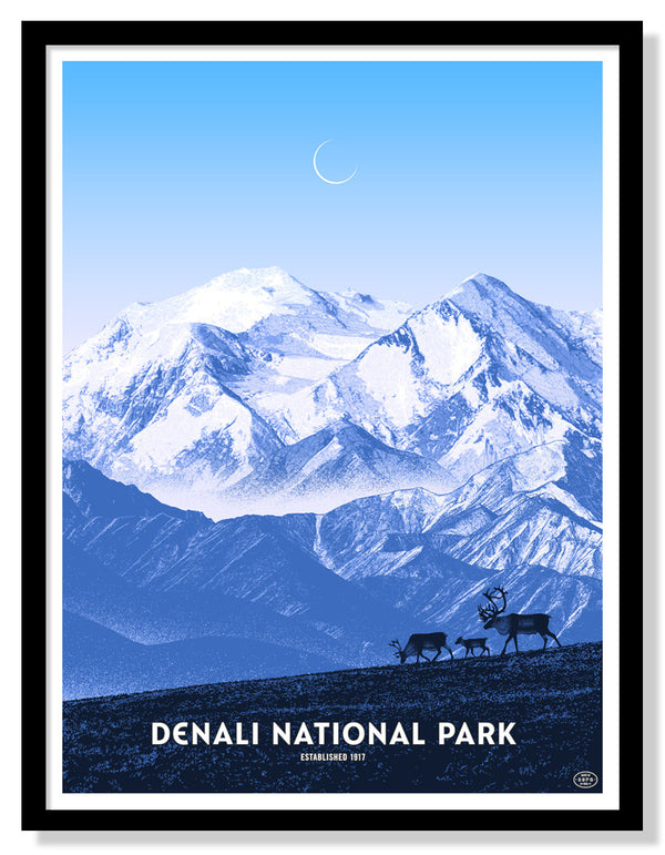 Denali National Park Poster