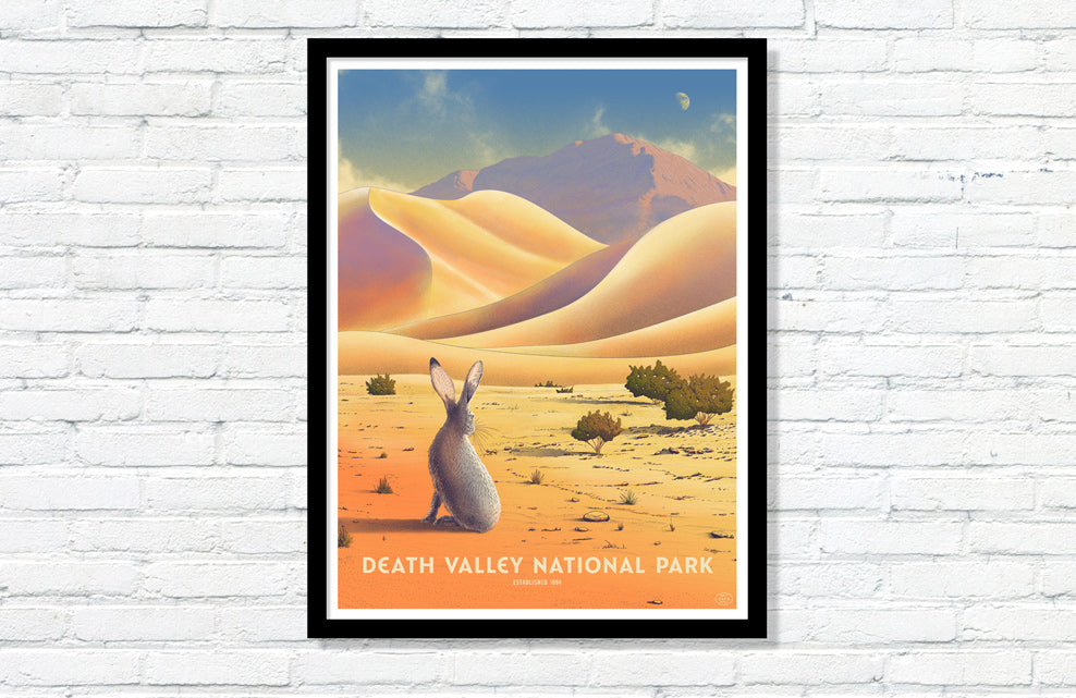 Death Valley National Park Poster