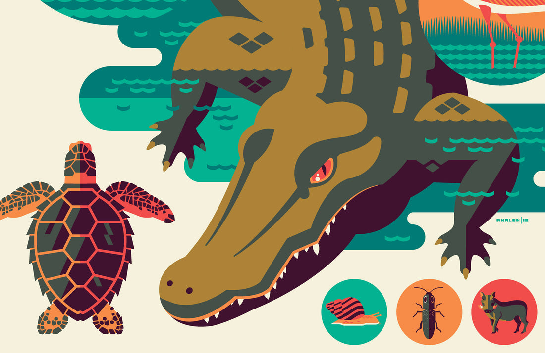 Iconic Wildlife of Everglades National Park Poster