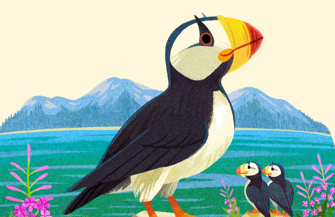 Horned Puffin National Park Alphabet Print