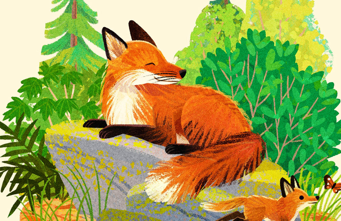 Red Fox National Park Alphabet Print