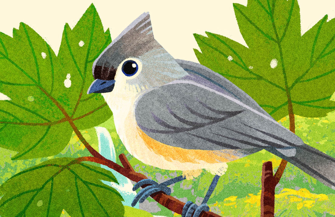 Tufted Titmouse National Park Alphabet Print