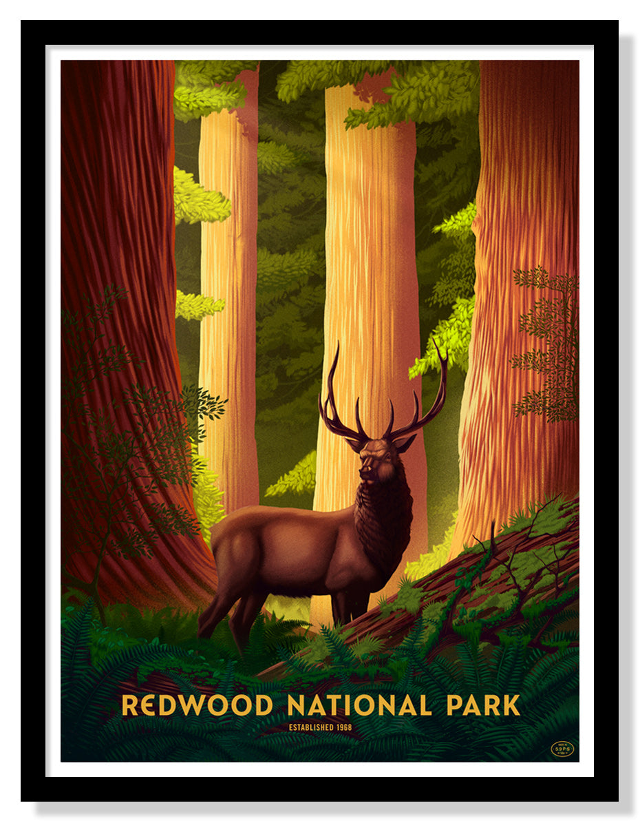 Redwood National Park Poster