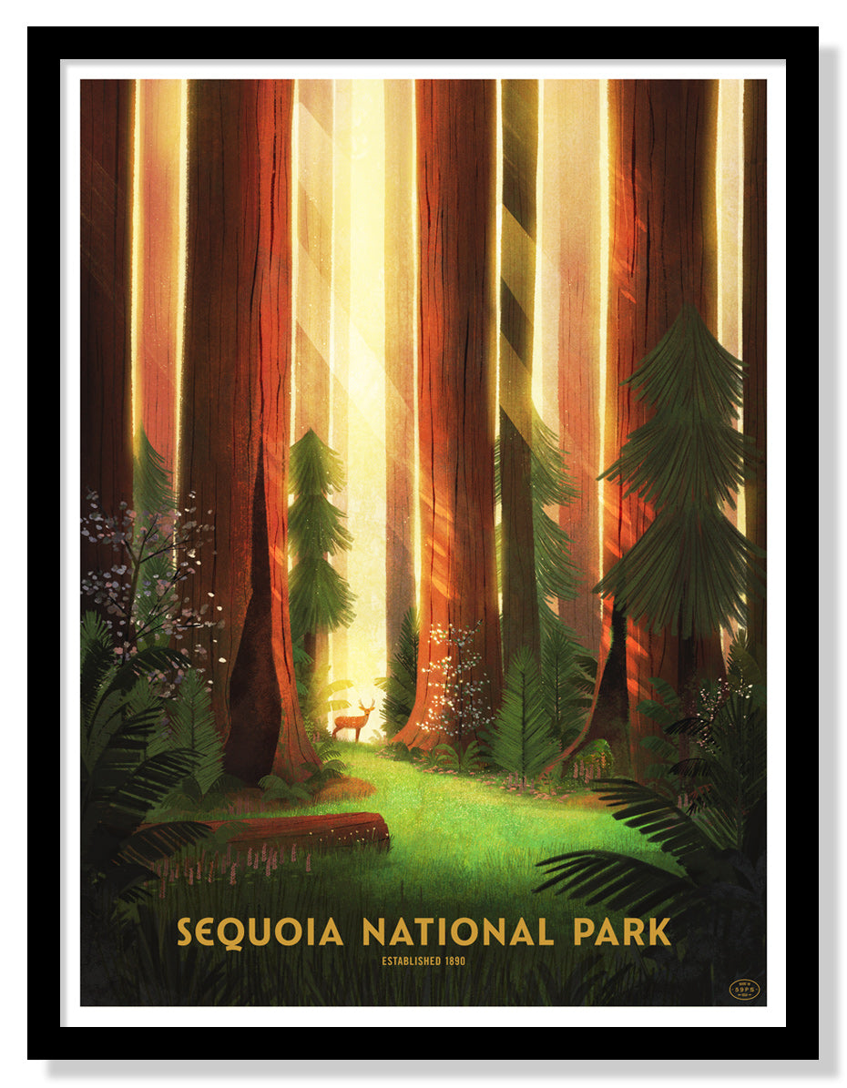 Sequoia National Park Poster