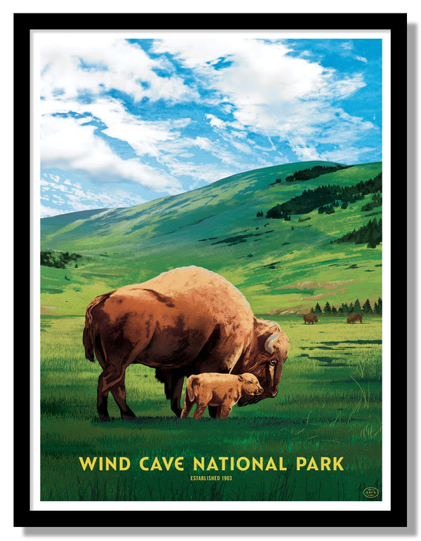 Wind Cave National Park Poster