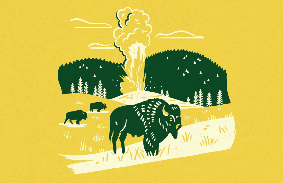 Yellowstone National Park Pennant